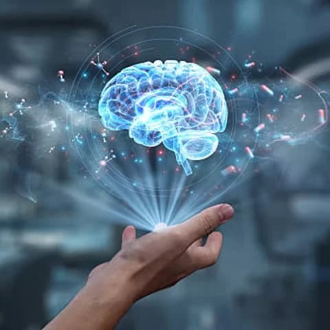 An illustration of the brain, representing the cognitive functions a neuropsychological evaluation measures